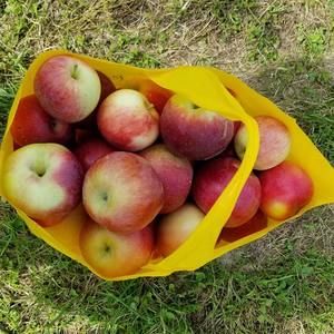 Meet your Posher, Robin